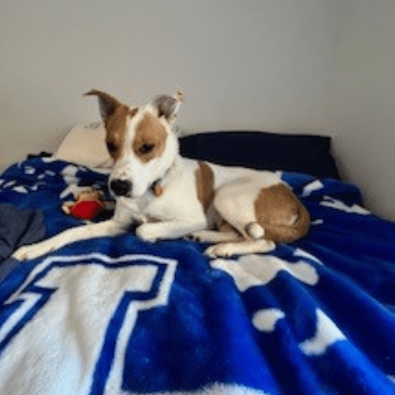 Website 1000x1000 (69)