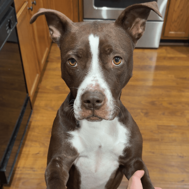 Website 1000x1000 (7)