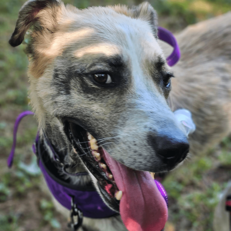 Website 1000x1000 (7)