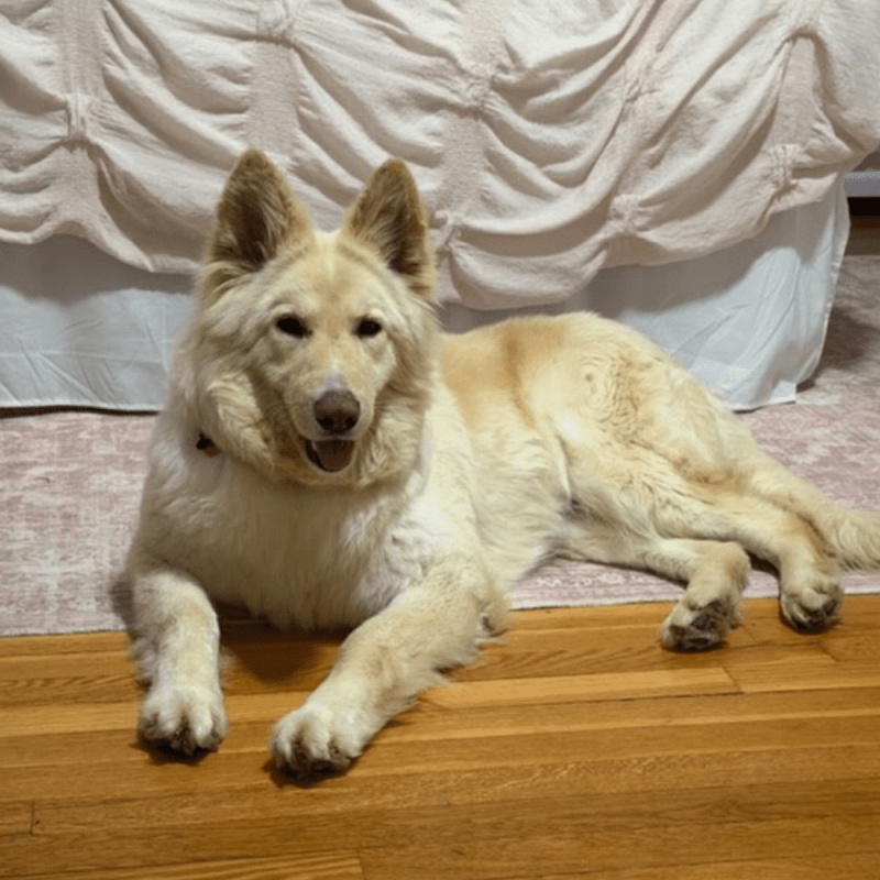 Website 1000x1000 (7)