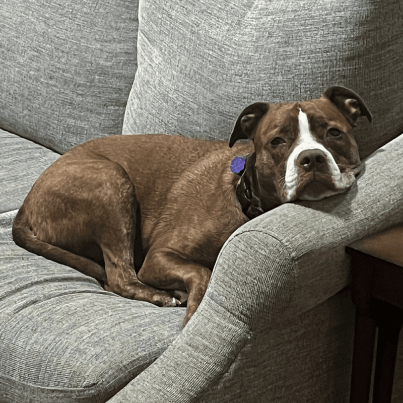 Website 1000x1000 (70)