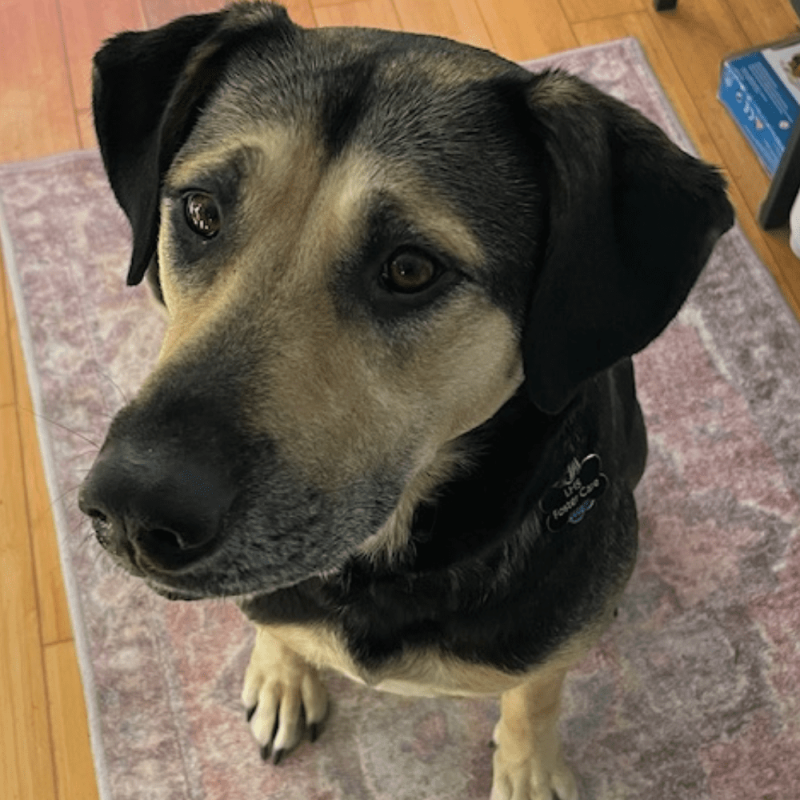 Website 1000x1000 (70)