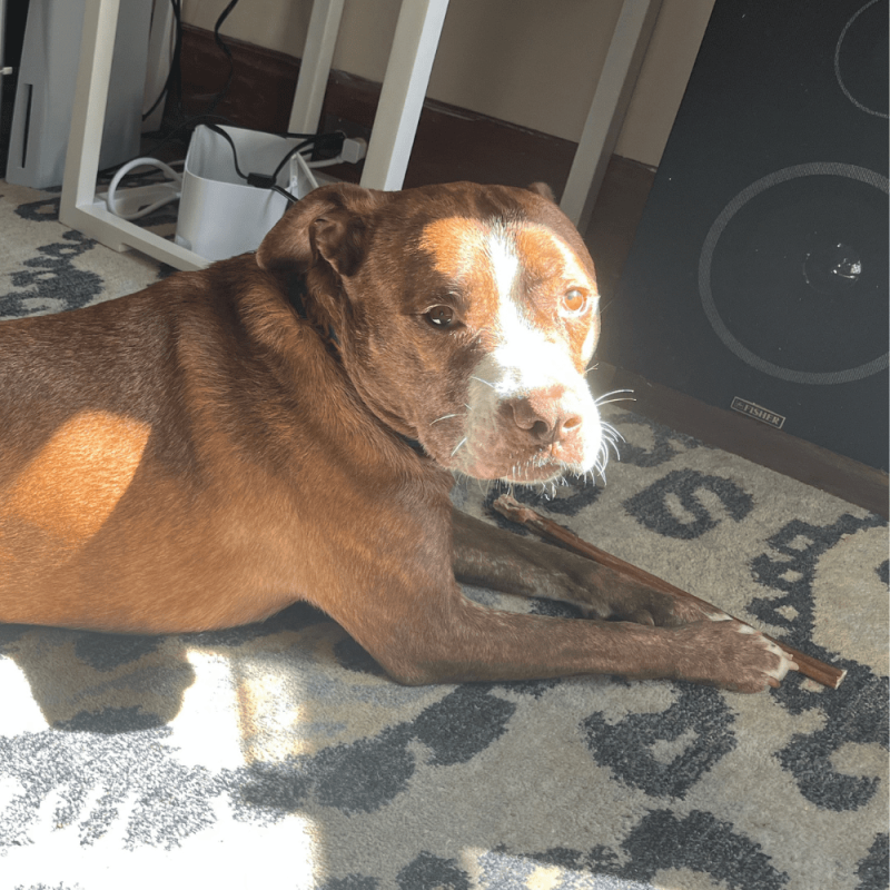 Website 1000x1000 (71)