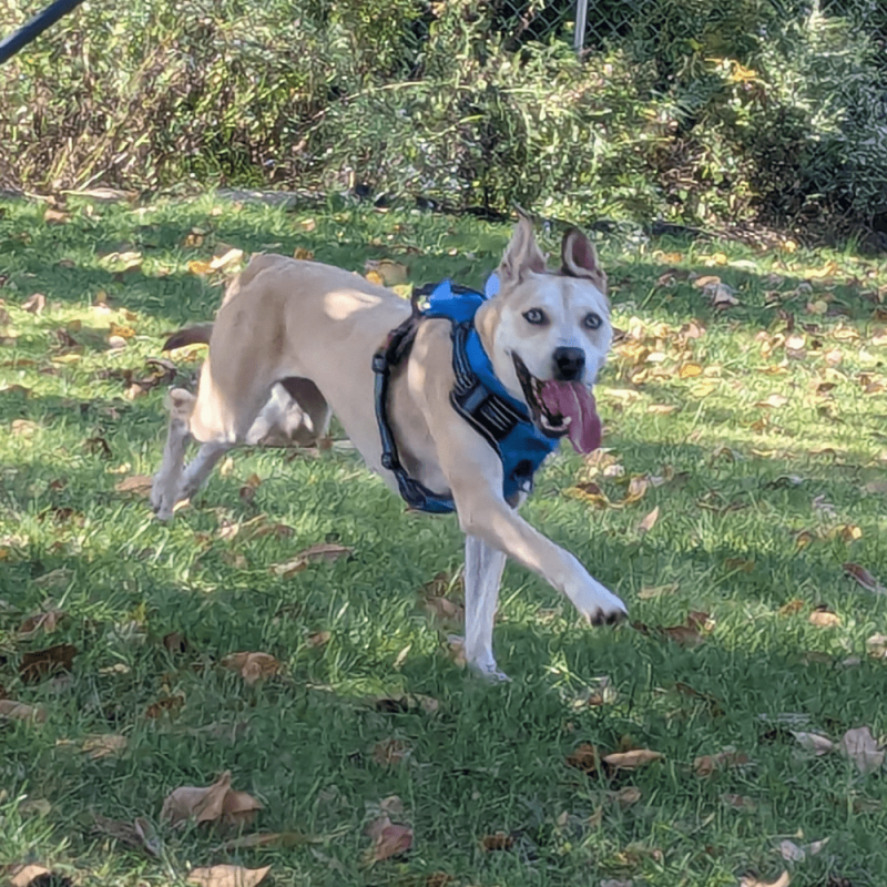 Website 1000x1000 (71)