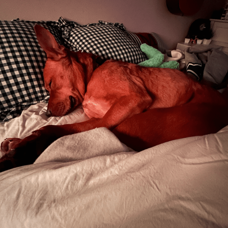 Website 1000x1000 (71)