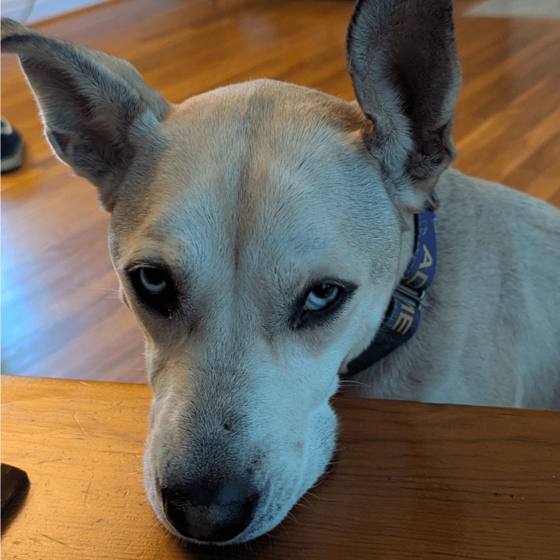 Website 1000x1000 (72)