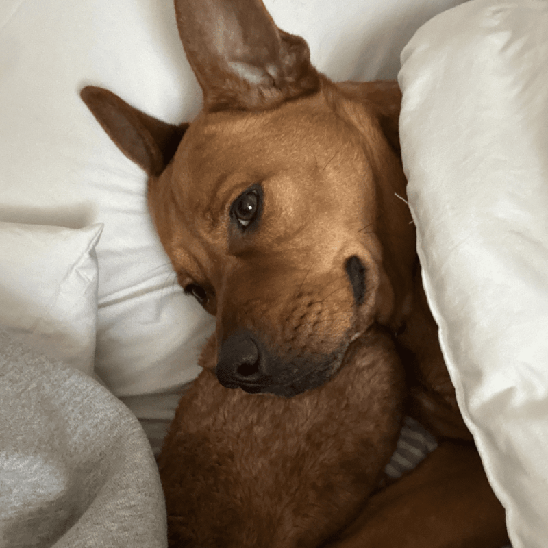 Website 1000x1000 (72)