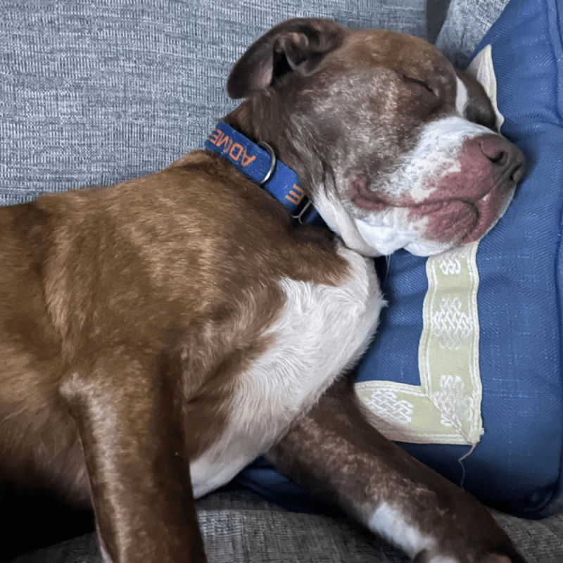 Website 1000x1000 (73)