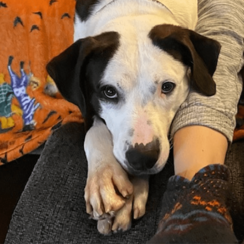 Website 1000x1000 (77)