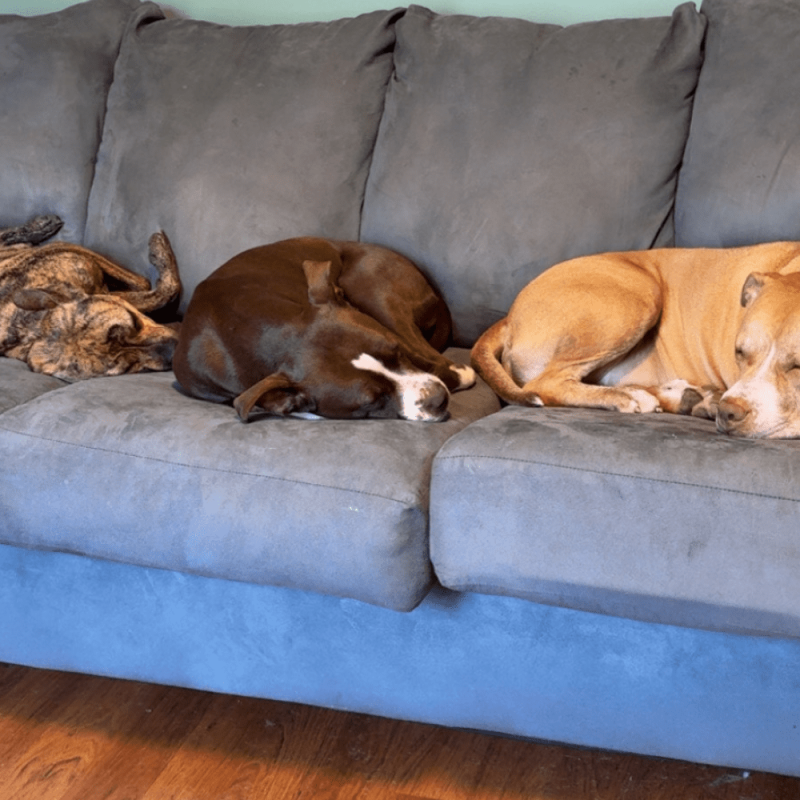 Website 1000x1000 (8)