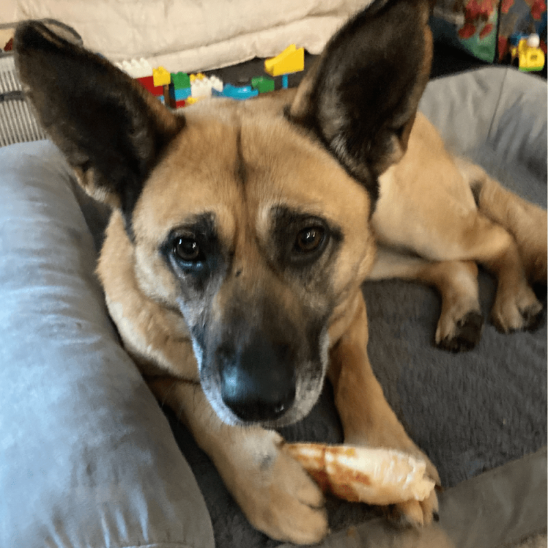 Website 1000x1000 (80)