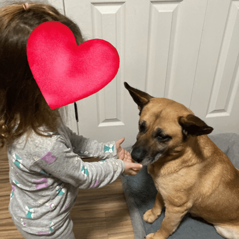 Website 1000x1000 (81)