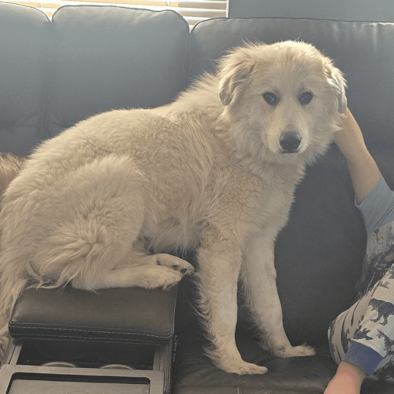 Website 1000x1000 (88)