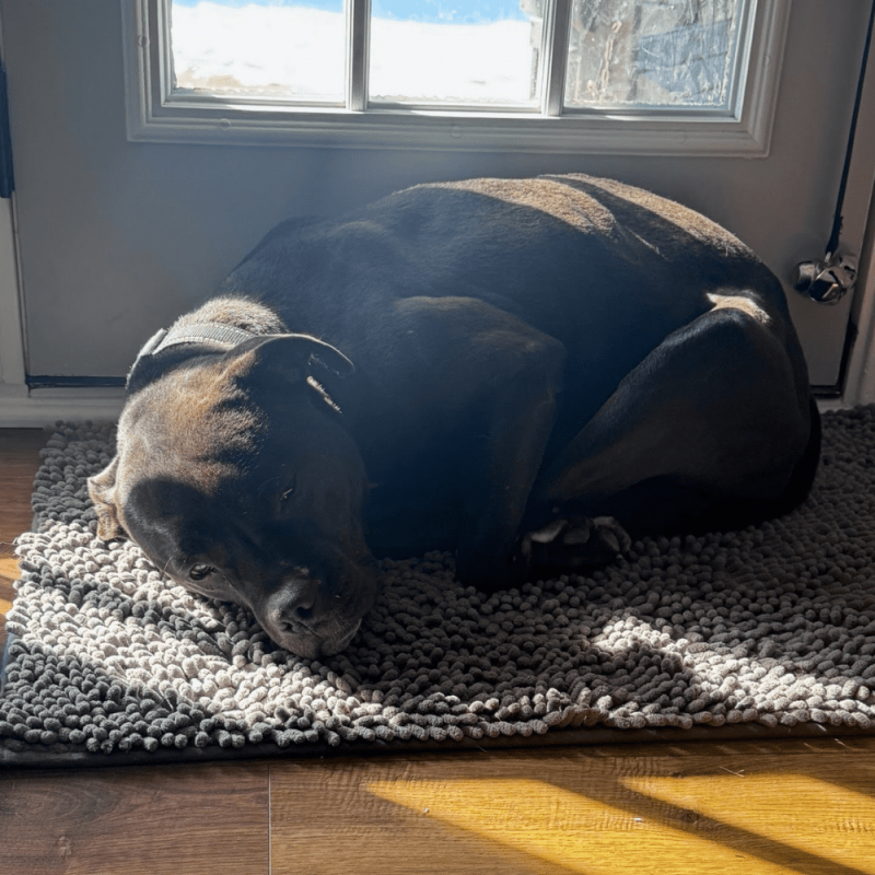 Website 1000x1000 (9)