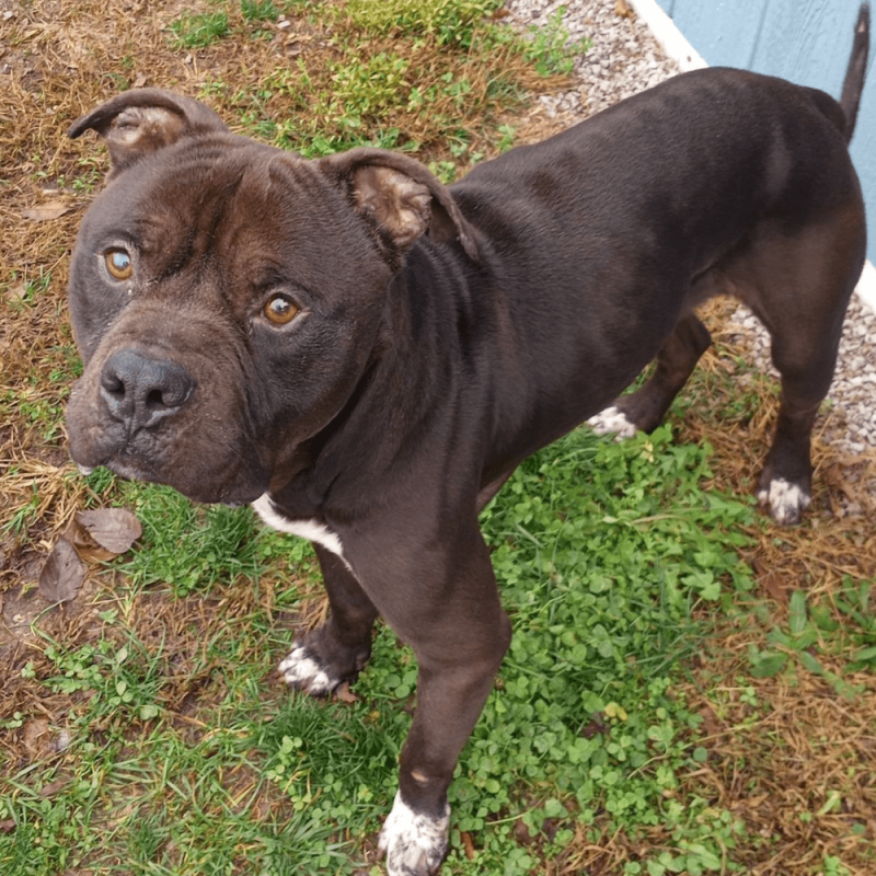 Website 1000x1000 (92)