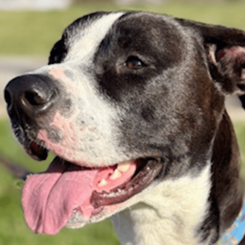 Website 1000x1000 (93)