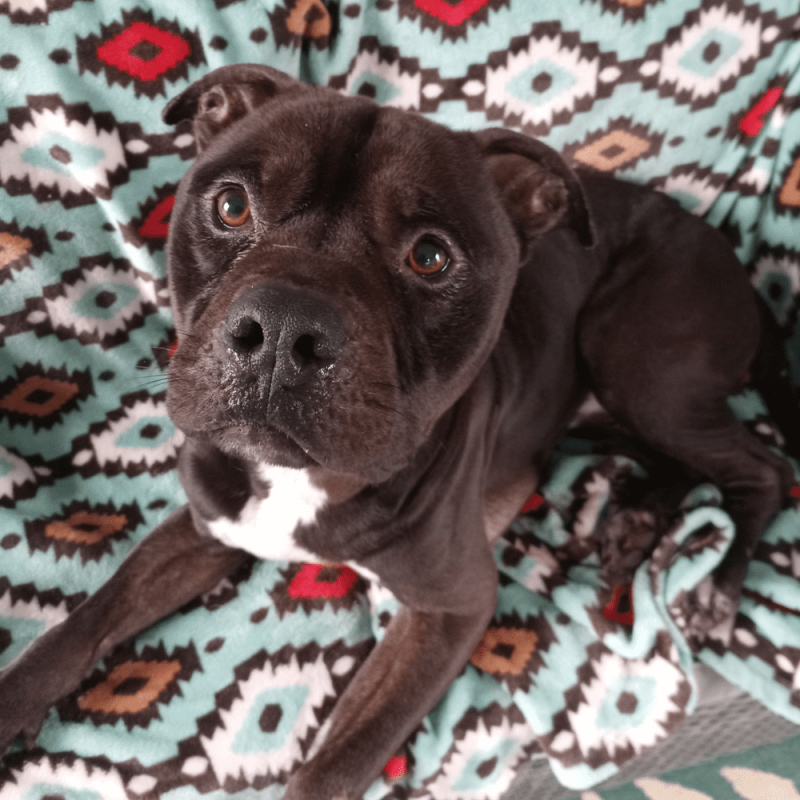 Website 1000x1000 (93)