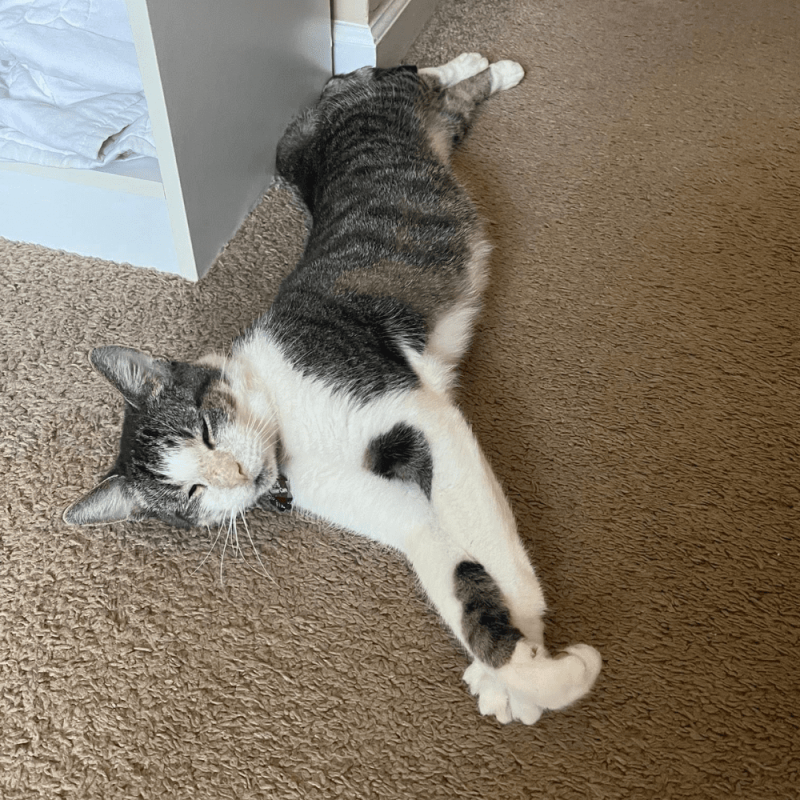 Website 1000x1000 (96)