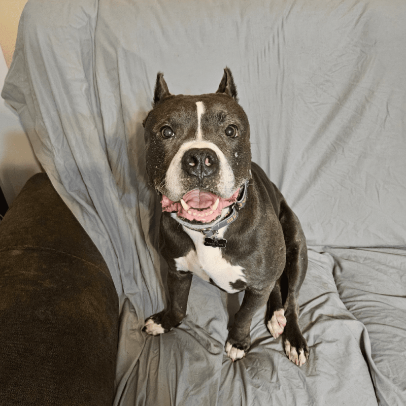 Website 1000x1000(10)