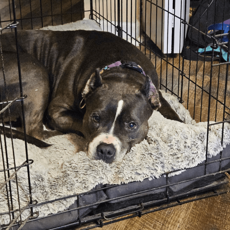 Website 1000x1000(8)