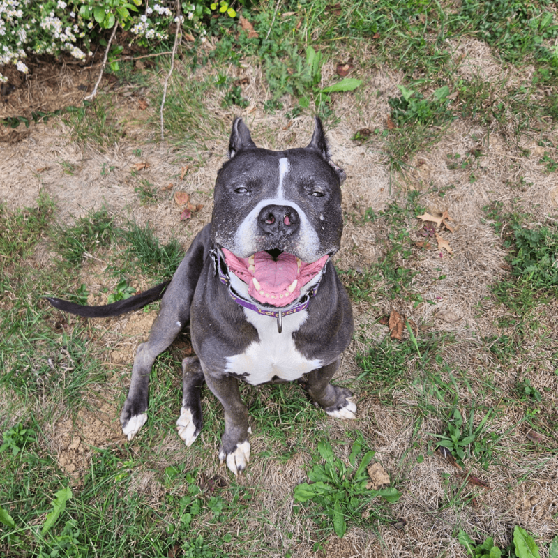 Website 1000x1000(9)