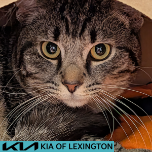 Website Pet Pictures - 2026-05-04T110530.580