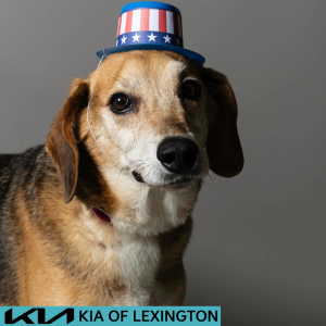 Website Pet Pictures - 2026-06-29T094909.986