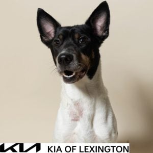 Website Pet Pictures - 2026-10-05T092116.314