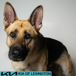 Website Pet Pictures (47)
