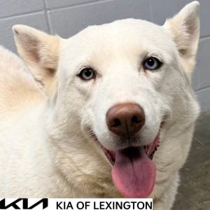 Website Pet Pictures(492)