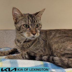 Website Pet Pictures(529)