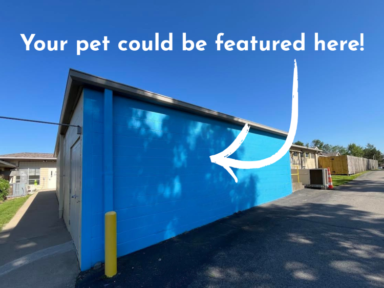 Your pet could be featured here!