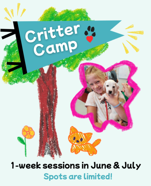 critter camp